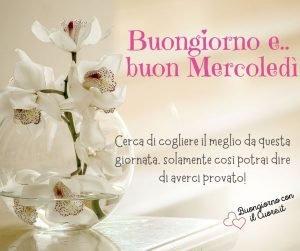 immagini buon mercoledì