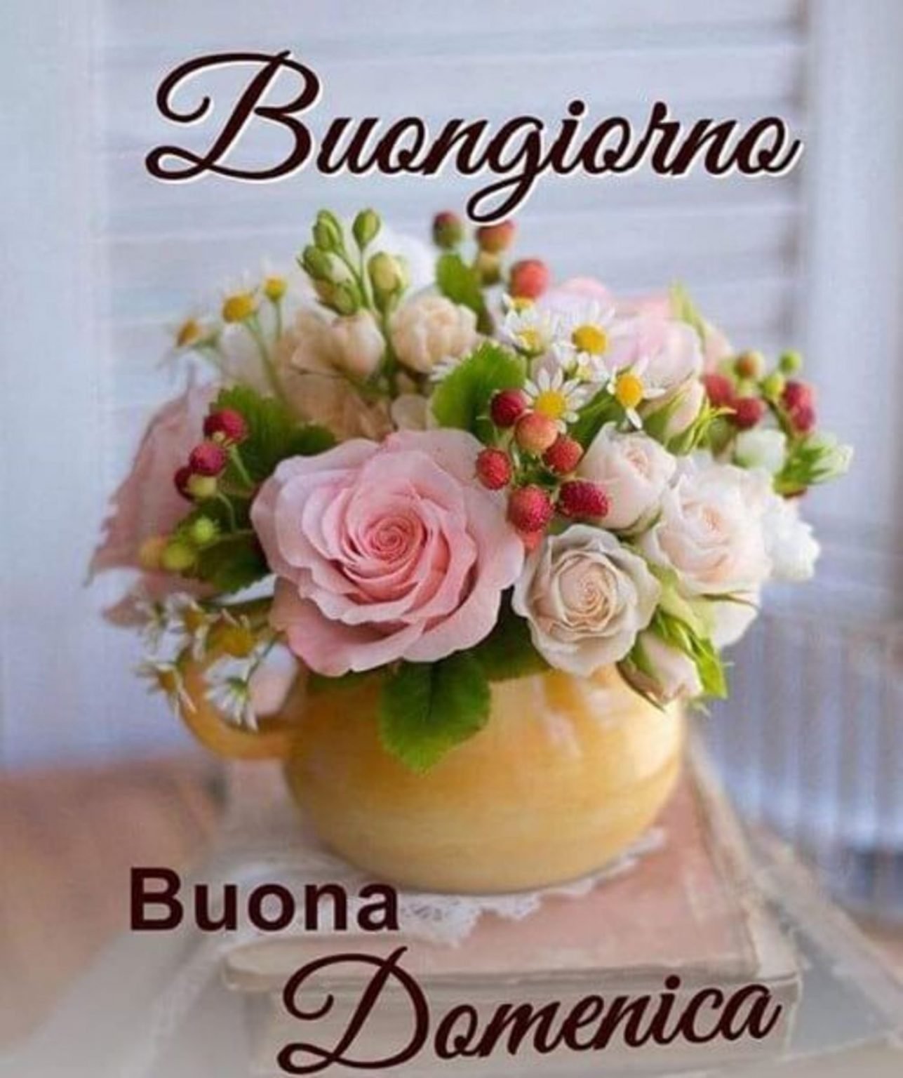 buongiorno buona domenica 18 maggio 2025