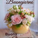 buona domenica 6 agosto 2023