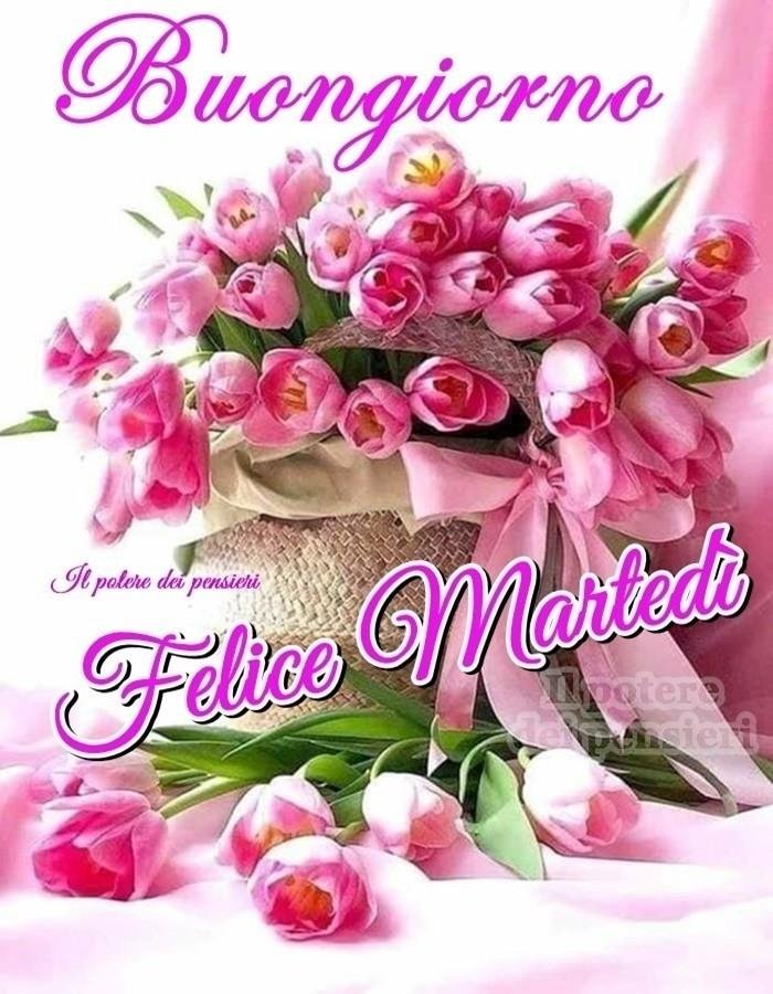 Buongiorno E Buon Marted 6 Agosto 2024 Frasi E Immagini Nuove Buongiorno E Buon Marted 6 Agosto 2024 Frasi E Immagini Nuove