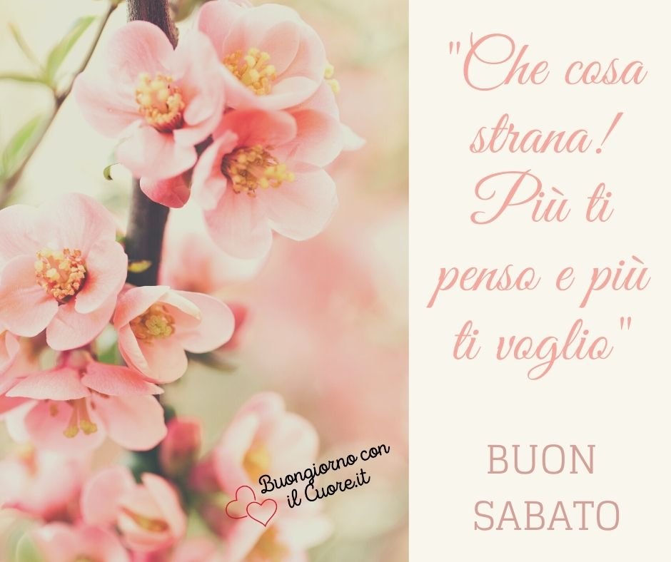 immagini buon sabato