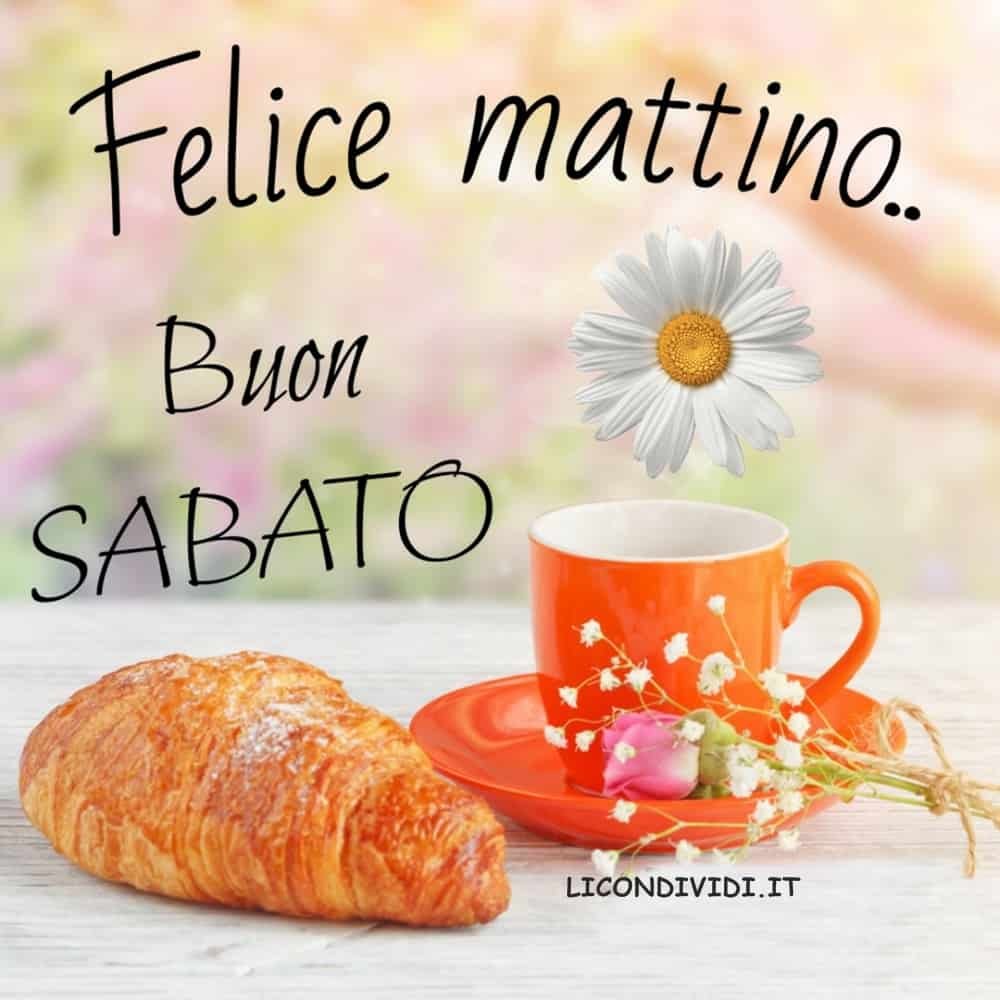 Immagini E Frasi Per Augurare Il Buongiorno In Questo Sabato 11 Novembre