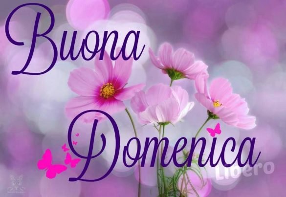 Buona Domenica: immagini e frasi del buongiorno