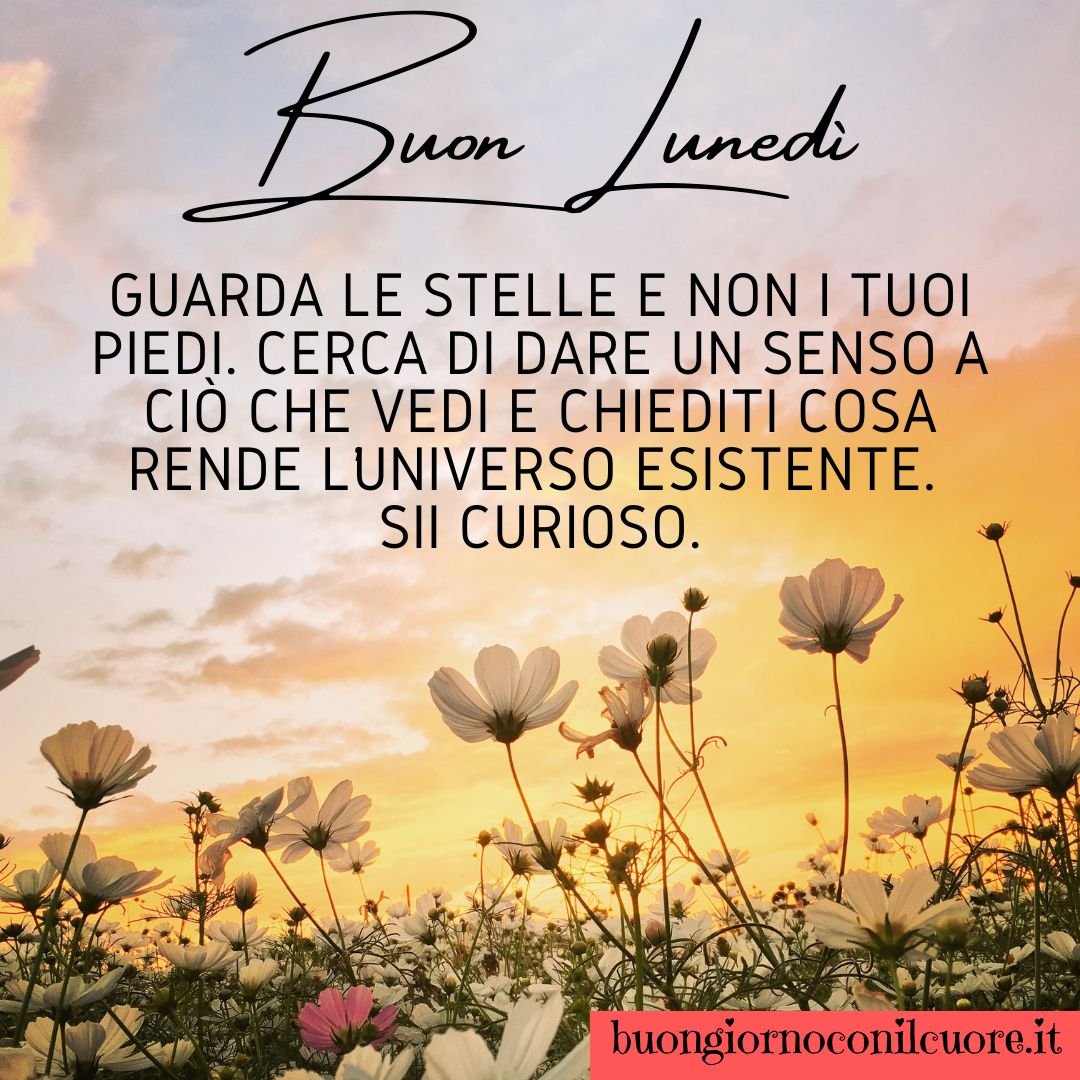immagini buongiorno lunedì 6 marzo 2023