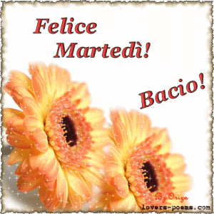 felice martedì con i fiori