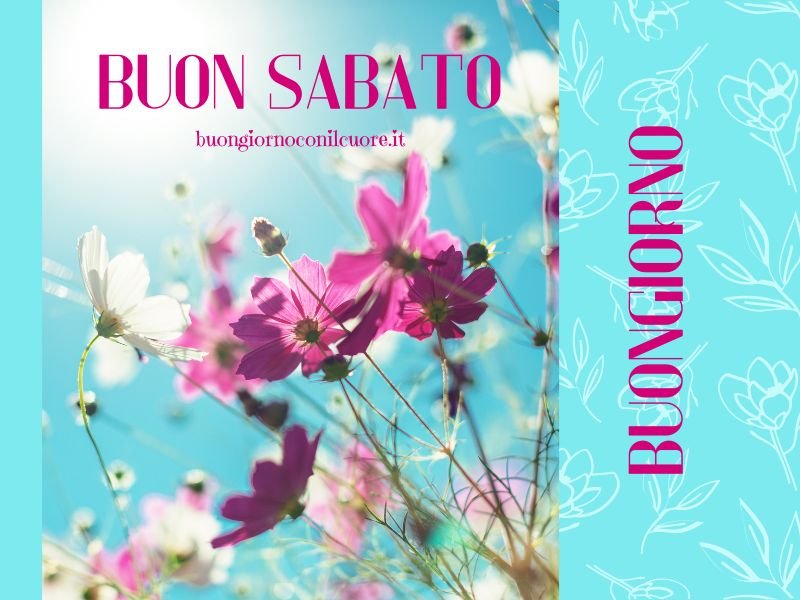 Buon sabato immagini nuove