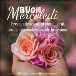 buon mercoledì fiori rose