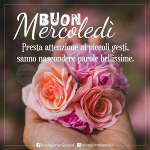 buon mercoledì fiori rose