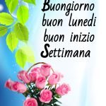 IMMAGINI FIORI BUONGIORNO BUON LUNEDI