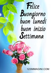 IMMAGINI FIORI BUONGIORNO BUON LUNEDI