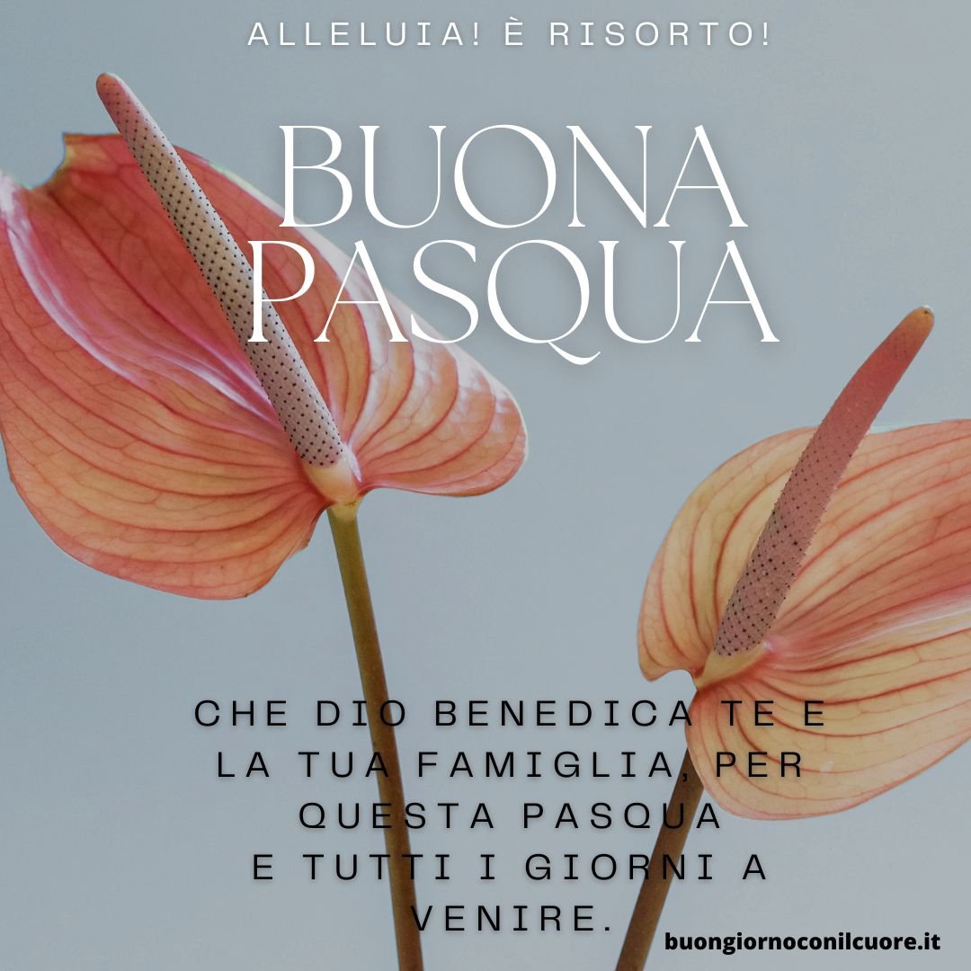 immagini nuove buona pasqua 9 aprile 2023