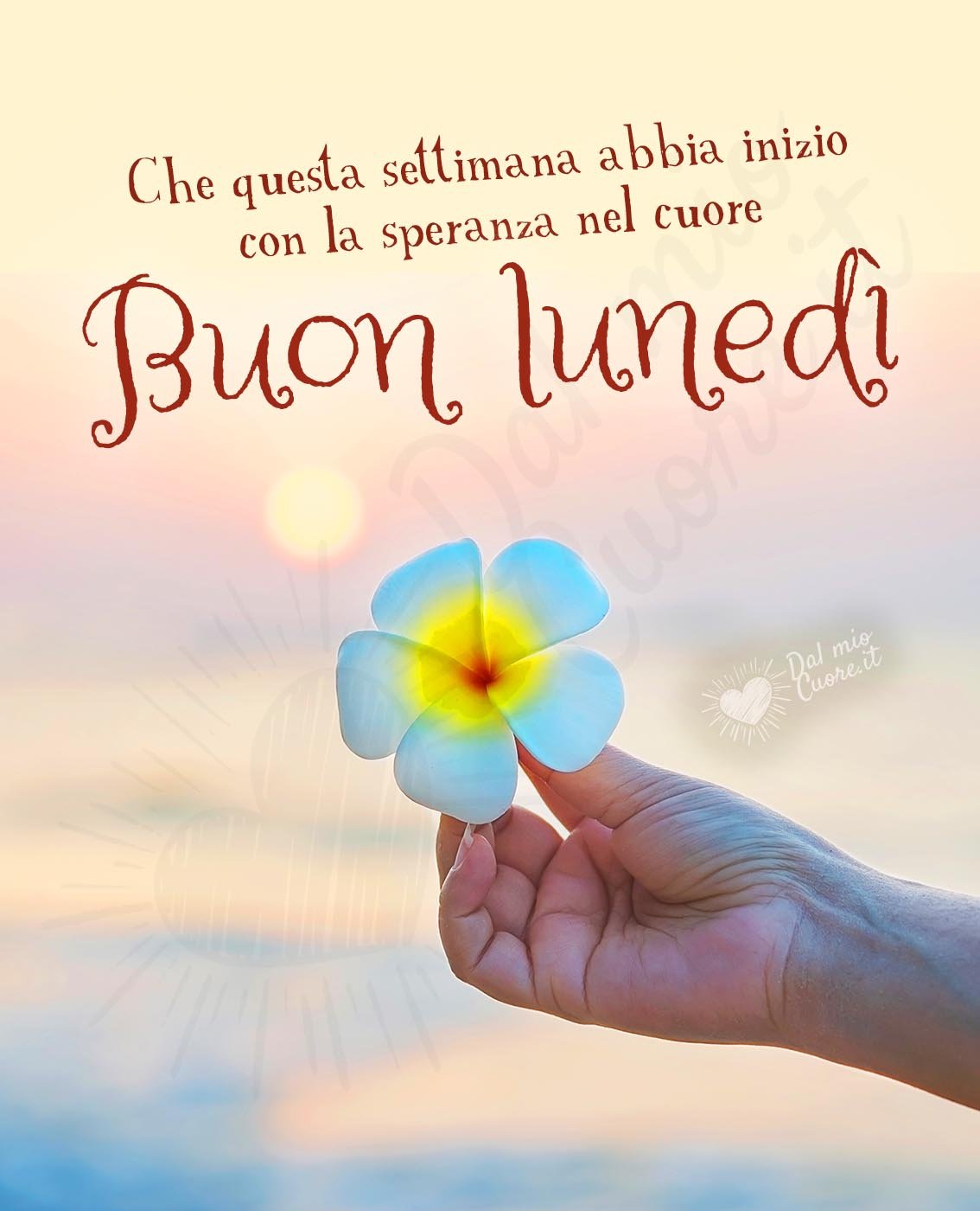 23 ottobre buongiorno