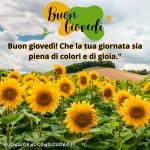 immagini buon giovedì
