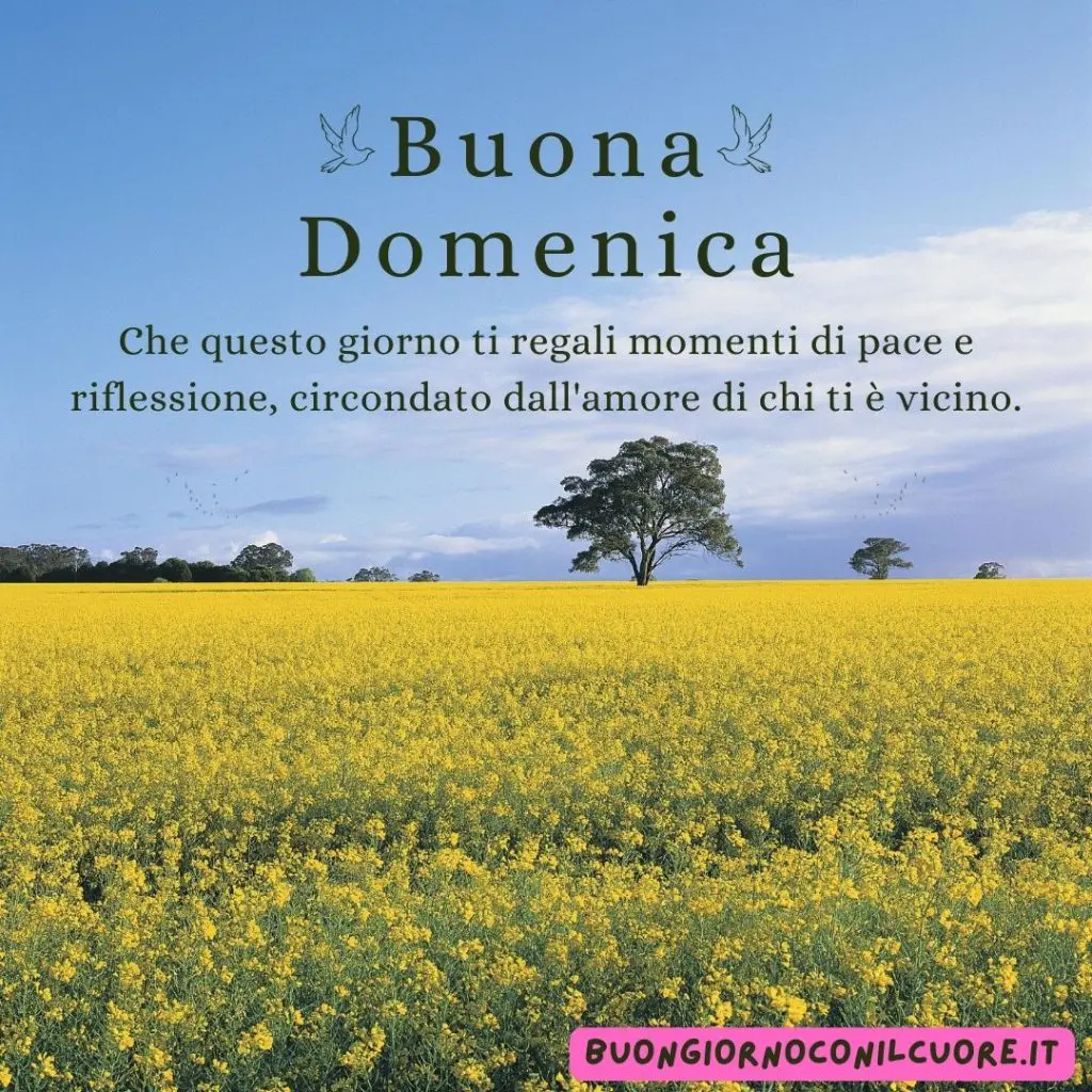 immagini buona domenica 21 luglio 2024