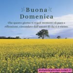 immagini buona domenica 21 luglio 2024