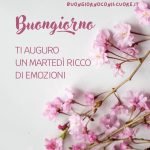 Buon martedì estivo 2 luglio 2024