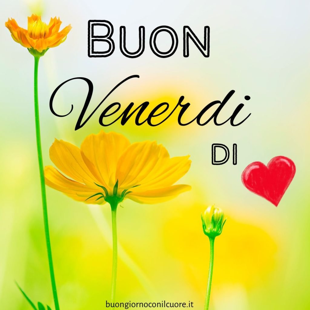 Buon venerdì 27 settembre buongiorno