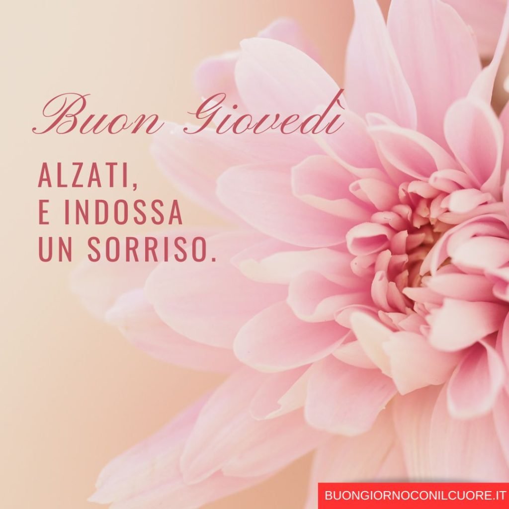 buongiorno 17 ottobre 2024