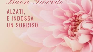 buongiorno 17 ottobre 2024