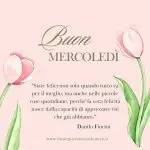 Immagini buongiorno buon mercoledì | 2 OTTOBRE 2024