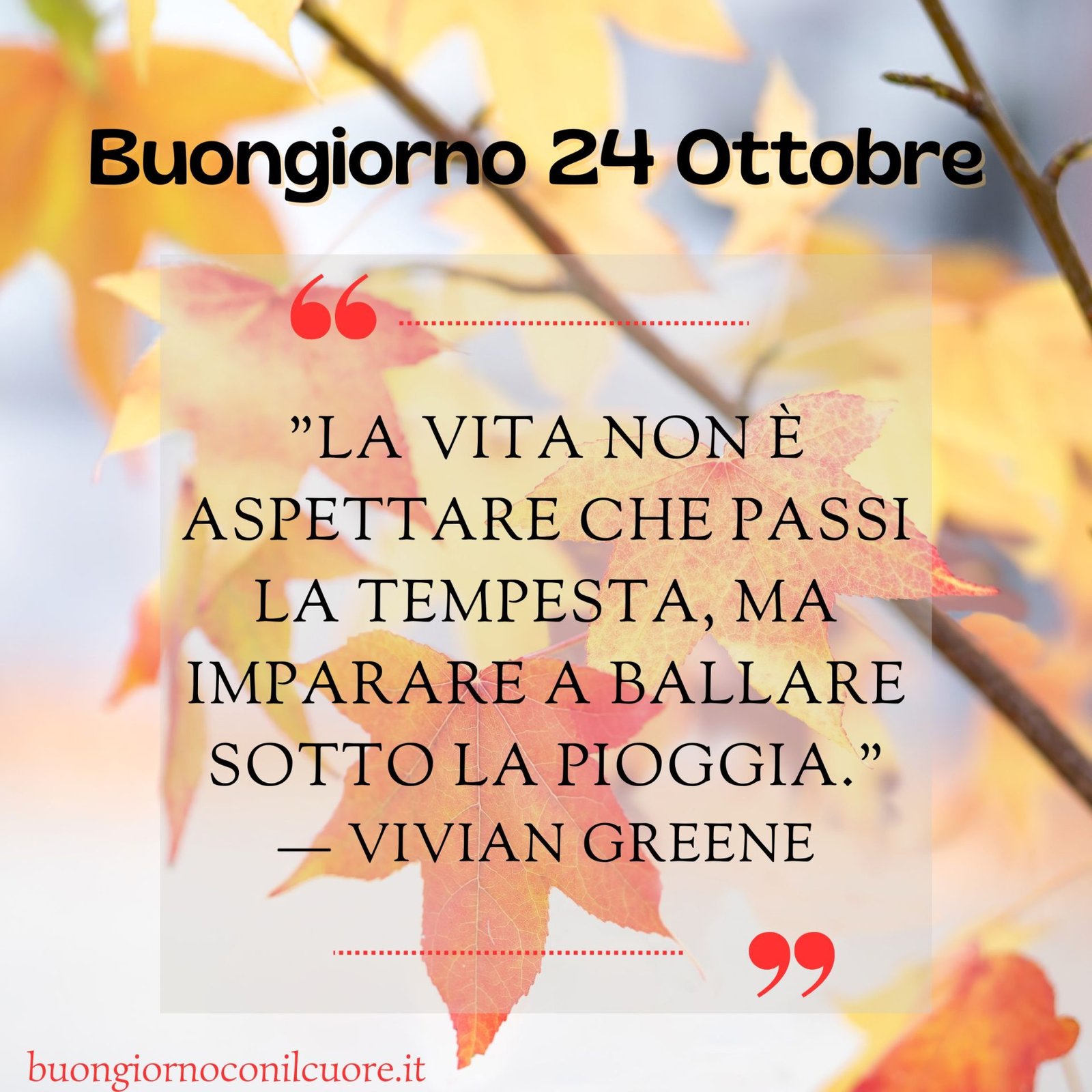 frase del giorno oggi domani giovedì 24 ottobre 2024