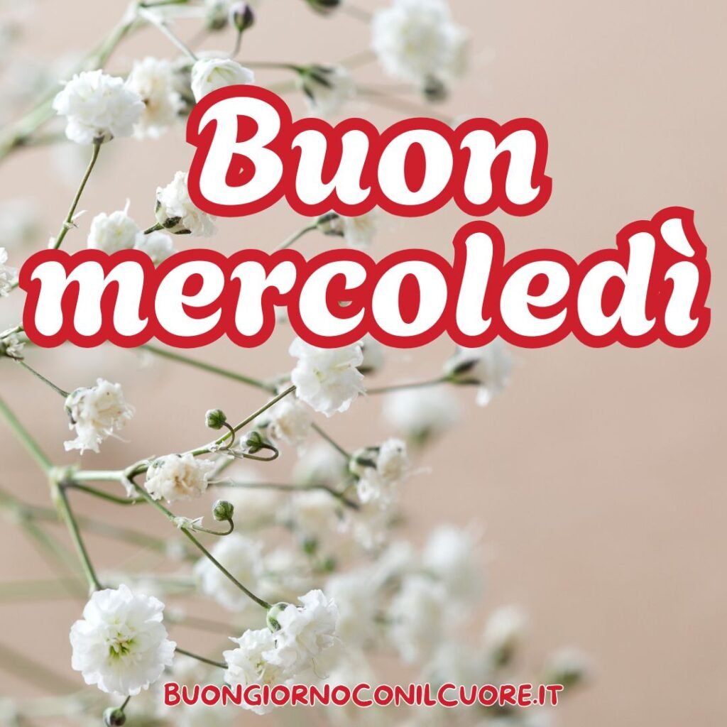 Buon mercoledì immagini